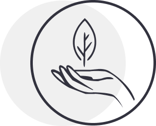 Icon of a hand holding a leaf, symbolizing nature and care.