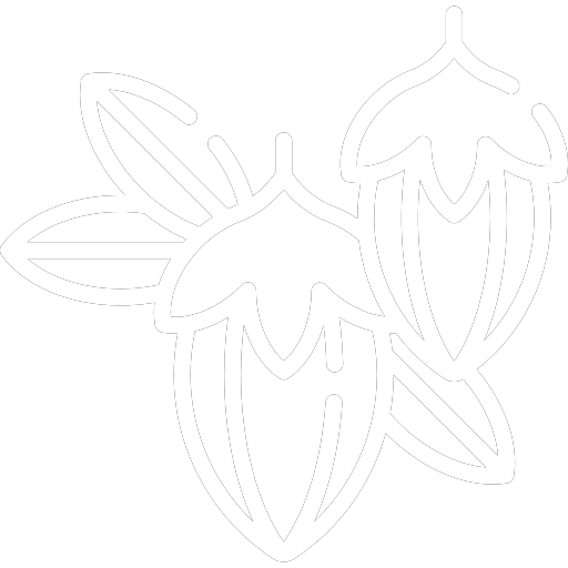 Outline of a strawberry with leaves on a white background