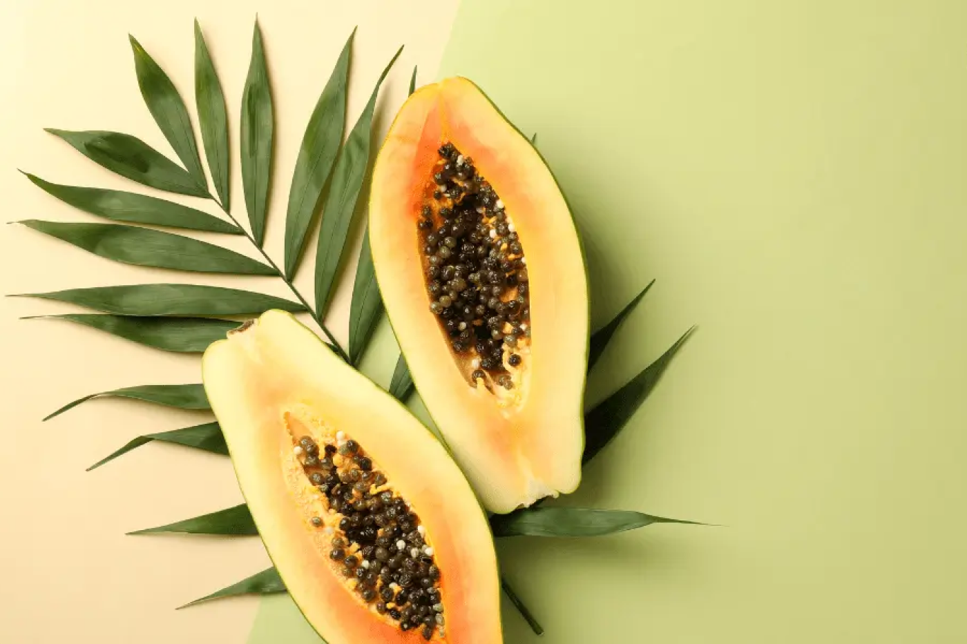 Papaya halves with seeds on tropical leaves