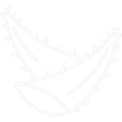 White outline of a pineapple on a white background