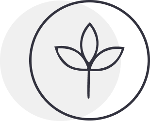 Icon of a leaf within a circular border on a white background