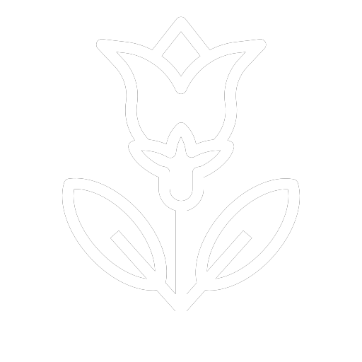 Outline of a flower with three petals on a white background